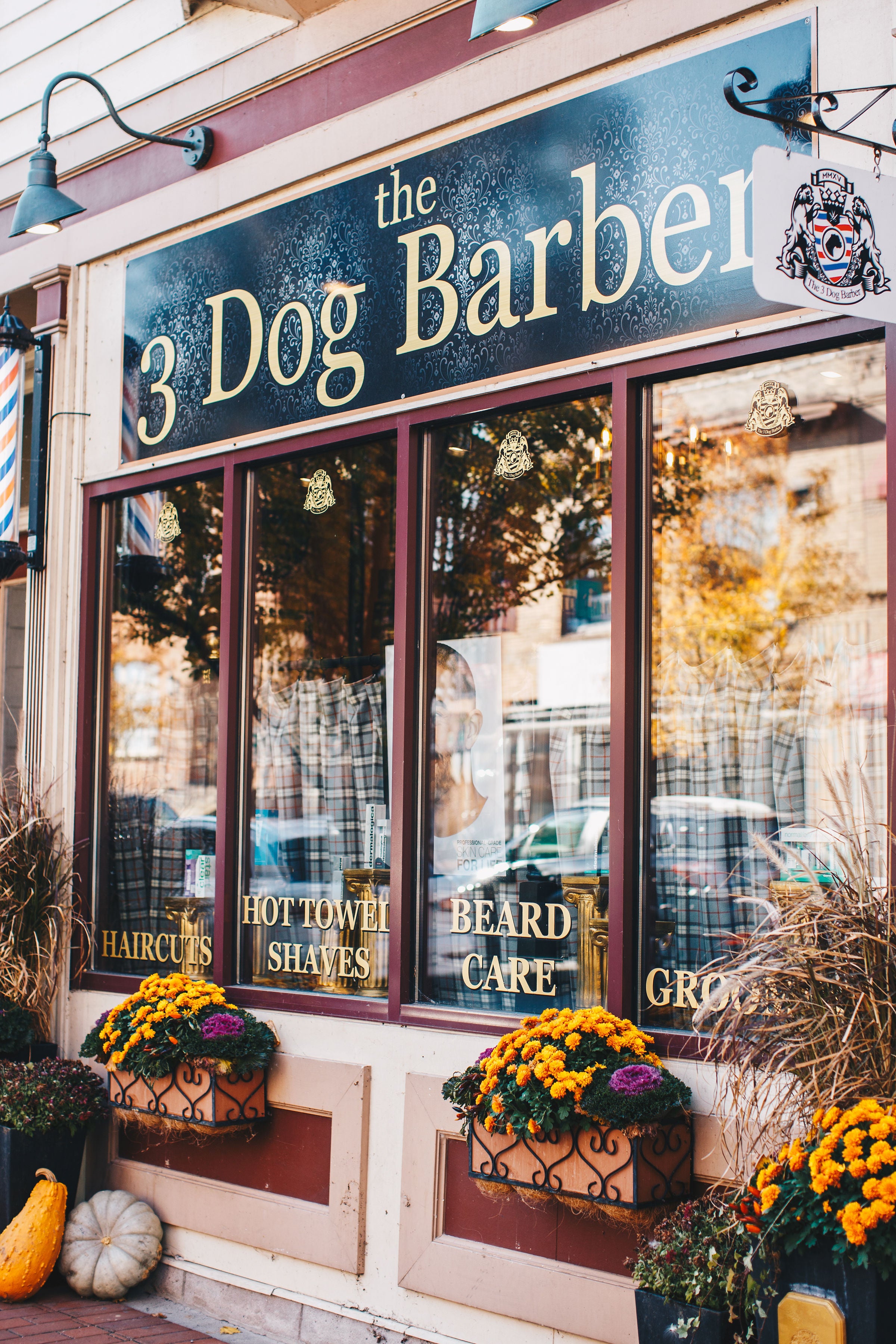 Dog barber outlet shop near me